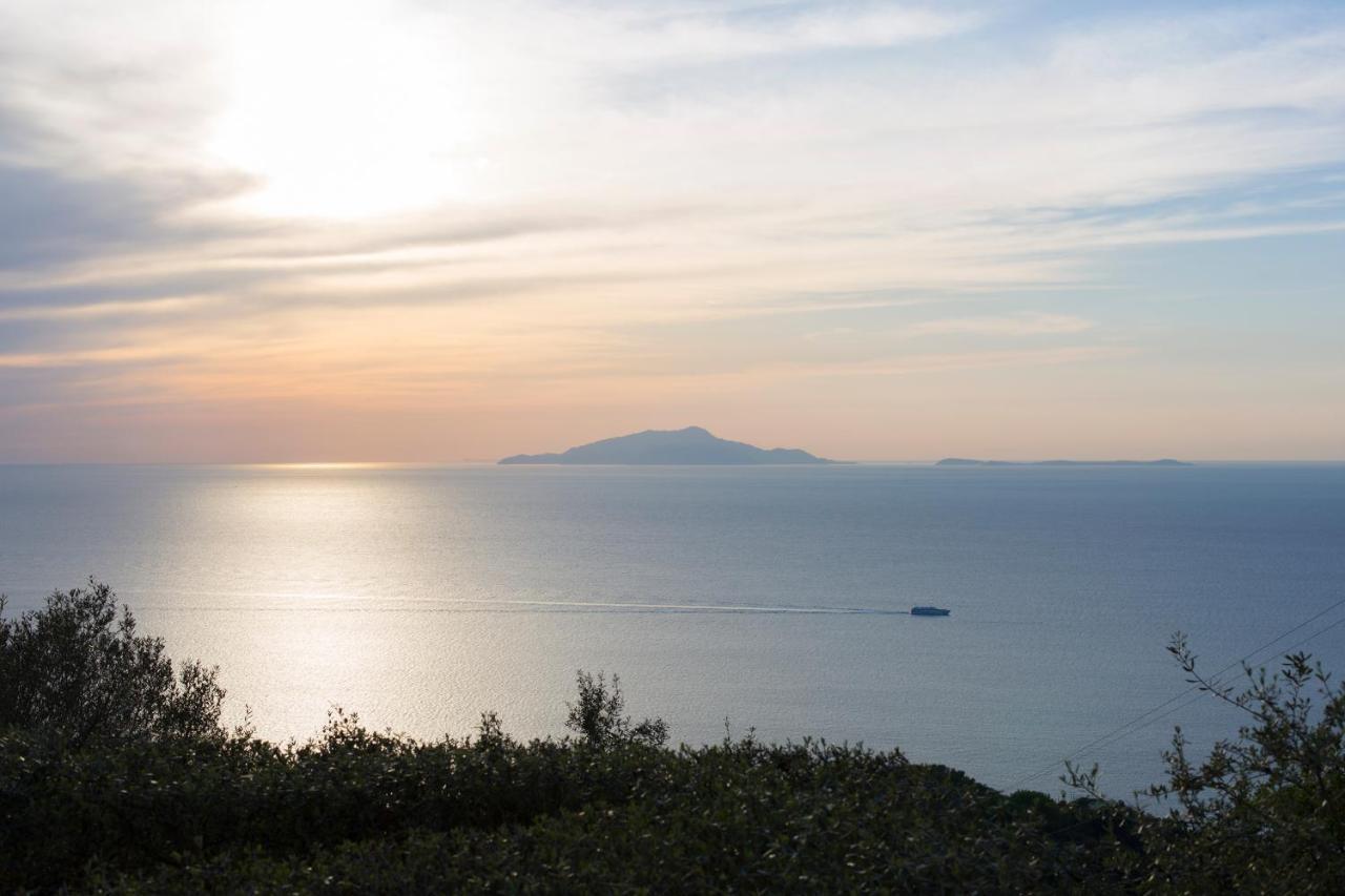 Villa Venus In Penisola Sorrentina Massa Lubrense Exterior foto