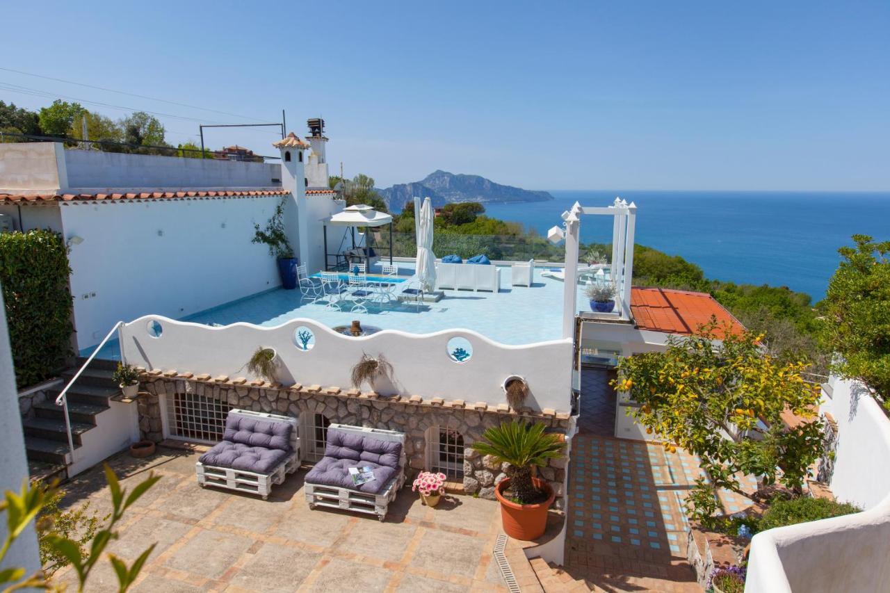 Villa Venus In Penisola Sorrentina Massa Lubrense Exterior foto